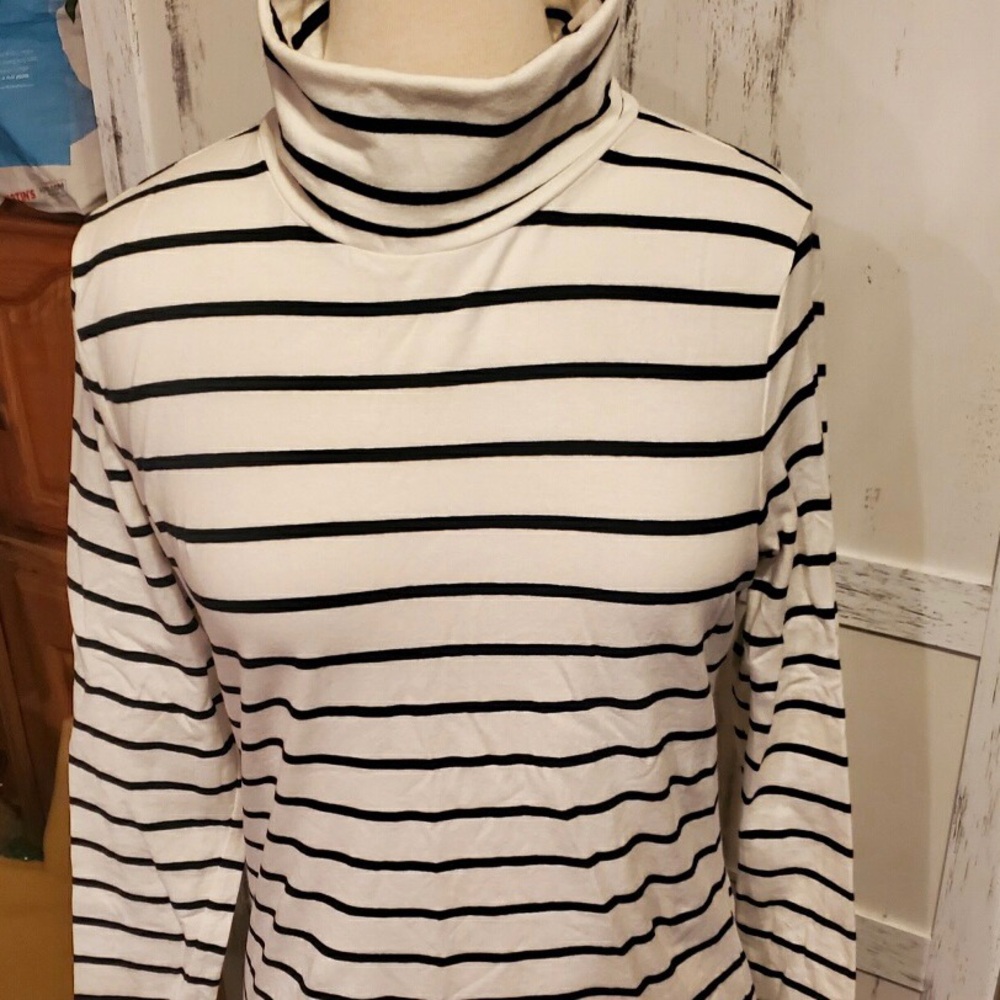 Talbots Striped Turtleneck